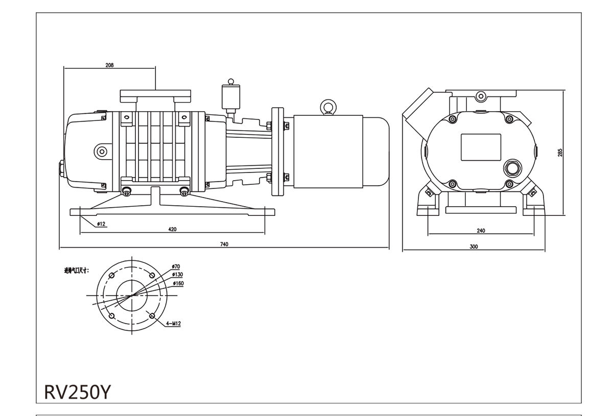 RV250Y